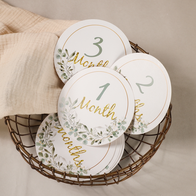 Milestone Card Set - Baby mijlpaal nummer maandelijkse herdenkingskaarten voor