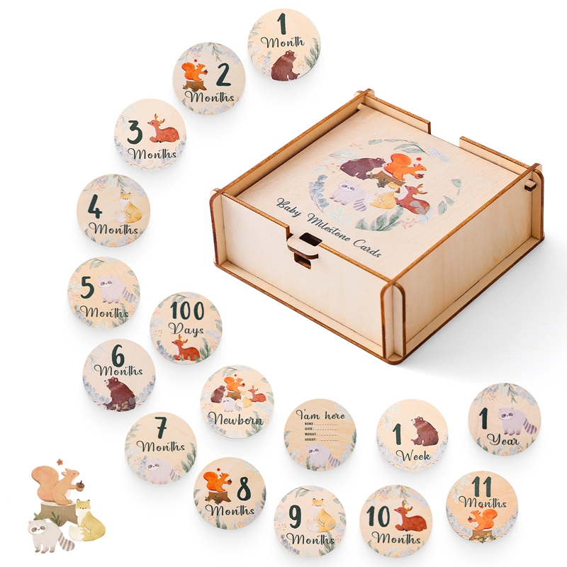 Pasgeboren Baby Groei Mijlpale - Milestone Card Set recensie en prijs