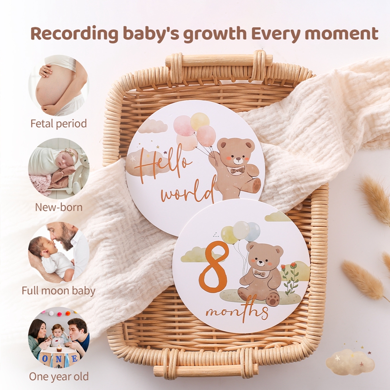 Baby papieren mijlpaal nummer  - Milestone Card Set recensie en prijs